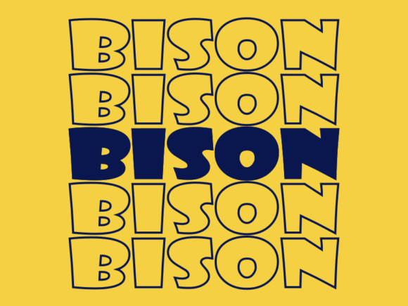 What Is a Bison SVG Cut File? A Beginner’s Guide to Scalable Vector Graphics for Crafting & Design